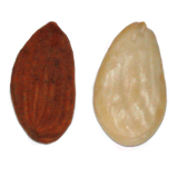 Avola almond: Pizzuta variety